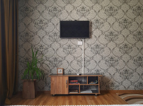 Апартаменты Рыжий Кот возле Парка