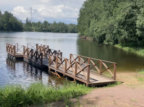 Частный дом в Токсово Озеро парк