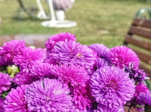 Гостевой Дом Solaris