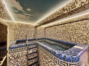 Гостиница Vnukovo Atlantis