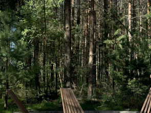 Глэмпинг Elovoye