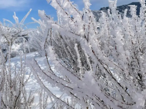 Гостевой дом Дикий Ёж