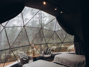 Глэмпинг Lago Ladoga