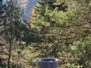 База отдыха Гринвальд 1474