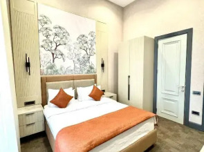 Отель Nizami Central Park