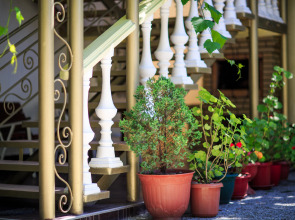 Гостевой дом Панорама