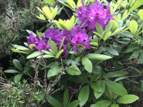 Гостевой дом Морское