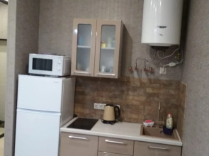 Квартира студия ТиМ