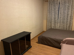 Апартаменты в центре Нижнего Новгорода