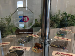 Гостевой дом Сны Города