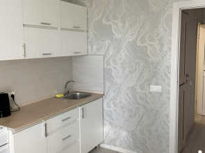 Квартира на Проспекте Дружбы Народов 17