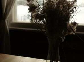 Гостевой дом с птицами в Кириллове