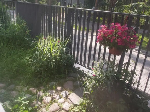 Апартаменты в Курорте Рядом с Финским Заливом