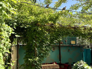 Отель Zahid Inn