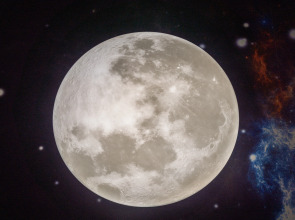 Апартаменты Kosmic - Новая,уютная студия в центре Самары