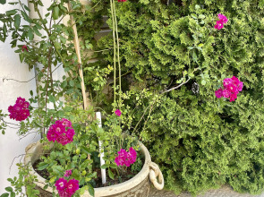 Гостевой дом Жемчужина