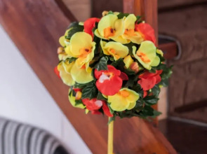 Гостевой Дом Орхидея