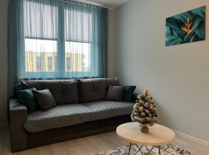 Апартаменты Уютная квартира в Светлогорске