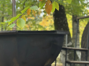 База отдыха WoodVillas