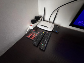 Квартира с видом на лес