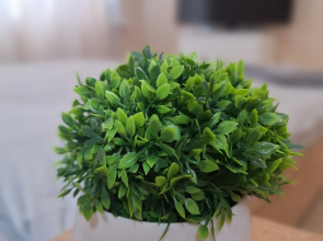 Квартира в самом центре Курска