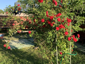 Частный Дом да Баня