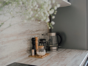 Апартаменты Argentum Home Дудинская 2