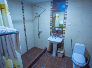 Отель Ani Central Inn