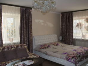 Апартаменты Елизаровых 45