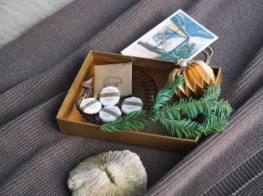 Гостевой дом Alpina house