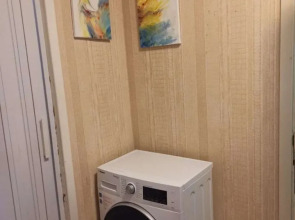 Квартира на Багаева 25/1