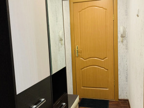 1-к апартаменты на 2 человек в центре города ТЦ Каскад Драмтеатр