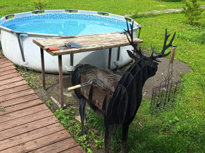 Частный дом дом среди гор