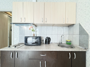 Апартаменты Уютная Атмосфера в Реутове