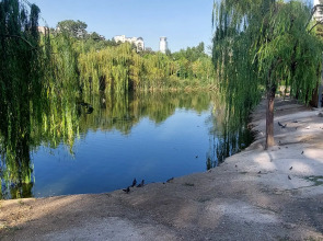 Апартаменты Kiwi