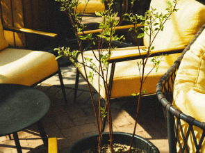 Апартаменты Room for Romantic в Nikolaev Building