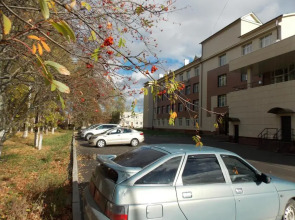 Отель Park-Hotel Bogorodsk