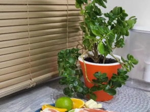 Апартаменты Уютные на Пушкинской