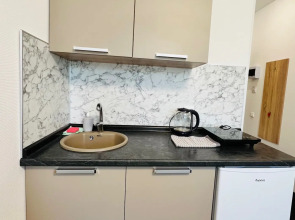 Апартаменты Нижний Ораниенбаум (204)