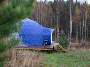 Глэмпинг Папоротник