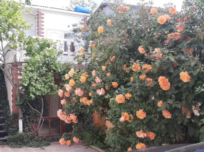 Гостевой Дом Viktoria