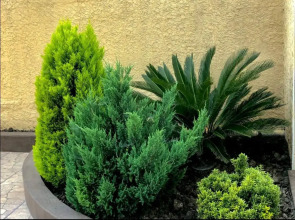 Гостевой дом Сати