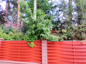 Гостевой дом Элитная дача у Финского залива