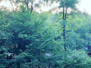 База отдыха Гостиничный комплекс Примула