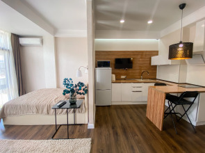 Студия с панорамным видом на центральной улице