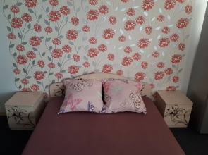 Апартаменты Студия на улице Мира 8А