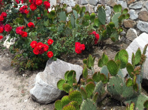 Гостевой Дом СВ