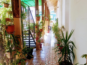 Гостевой дом Кара-Дениз