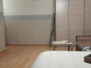 Квартира на набережной Александра Невского