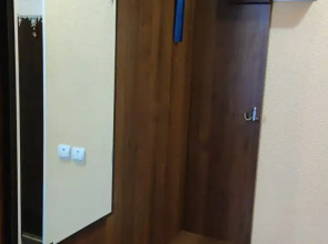 Квартира на проспекте Кирова 66